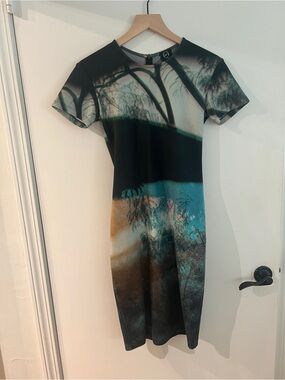 Alexander McQueen Dress size 4 great condition